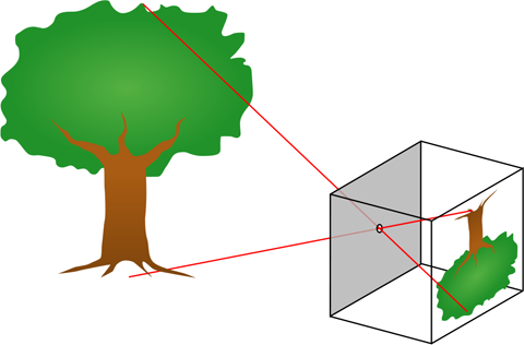 Camera obscura