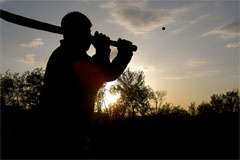 Baseball with cricket bat