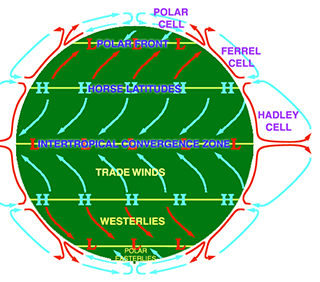 Wind circulation on Earth