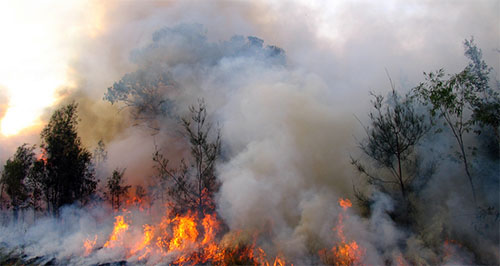 Fire