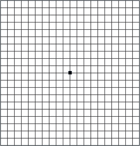 Amsler grid