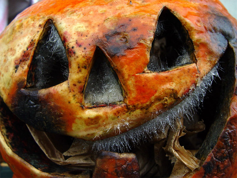 Jack