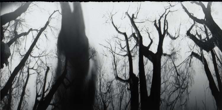 Spooky
