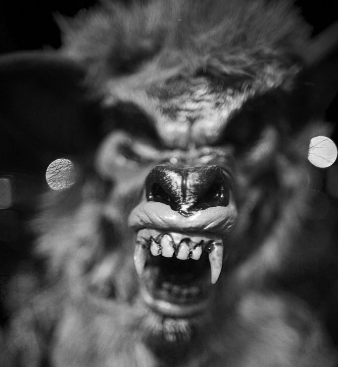 Werewolf