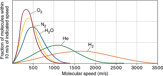 Gas molecule distribution