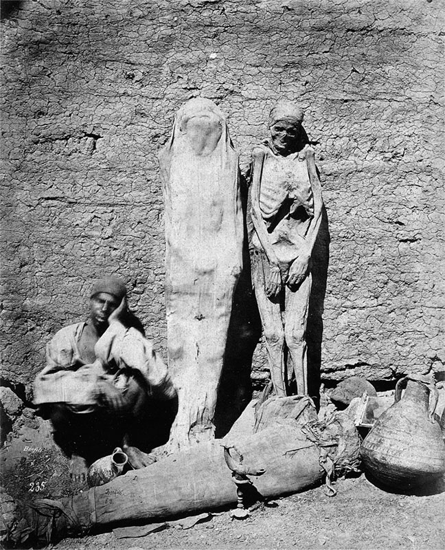 Mummy vendor
