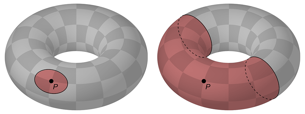 neighbourhoods on a torus