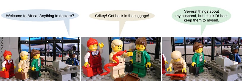 Comic #809